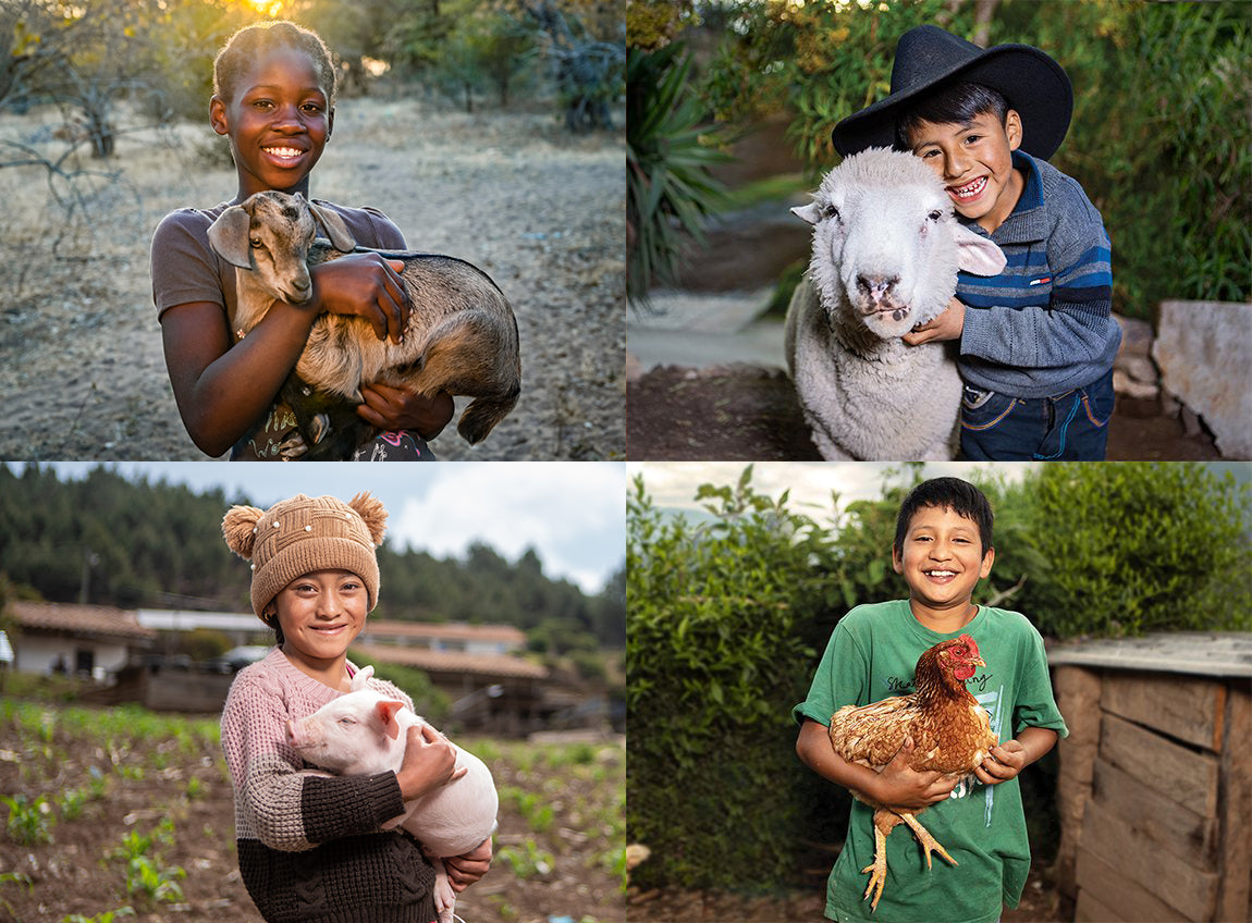 A collage of four different gift offerings featuring children with a goat, sheep, piglet and chicken.