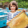 Beehives and Beekeeping Kits