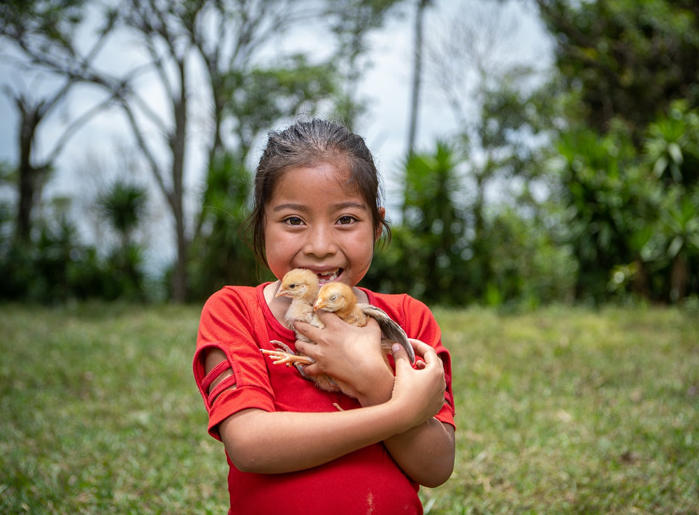 A little girl smiles as she holds up two baby chicks for the camera.